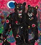pic for PSYCHEDELIC PANTHERS